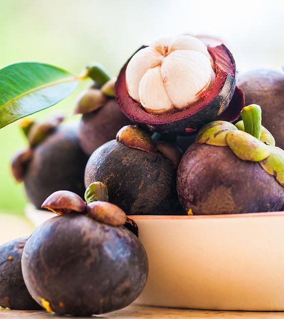 XANGO, Mangostane (1 Flasche)